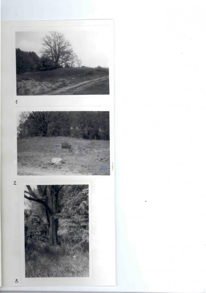 Karta cmentarza, skan nr 6