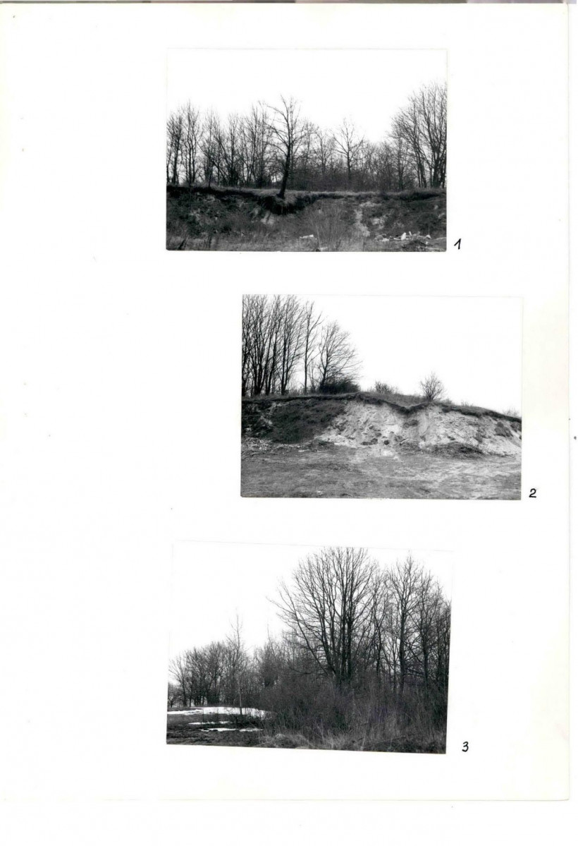Karta cmentarza, skan nr 12