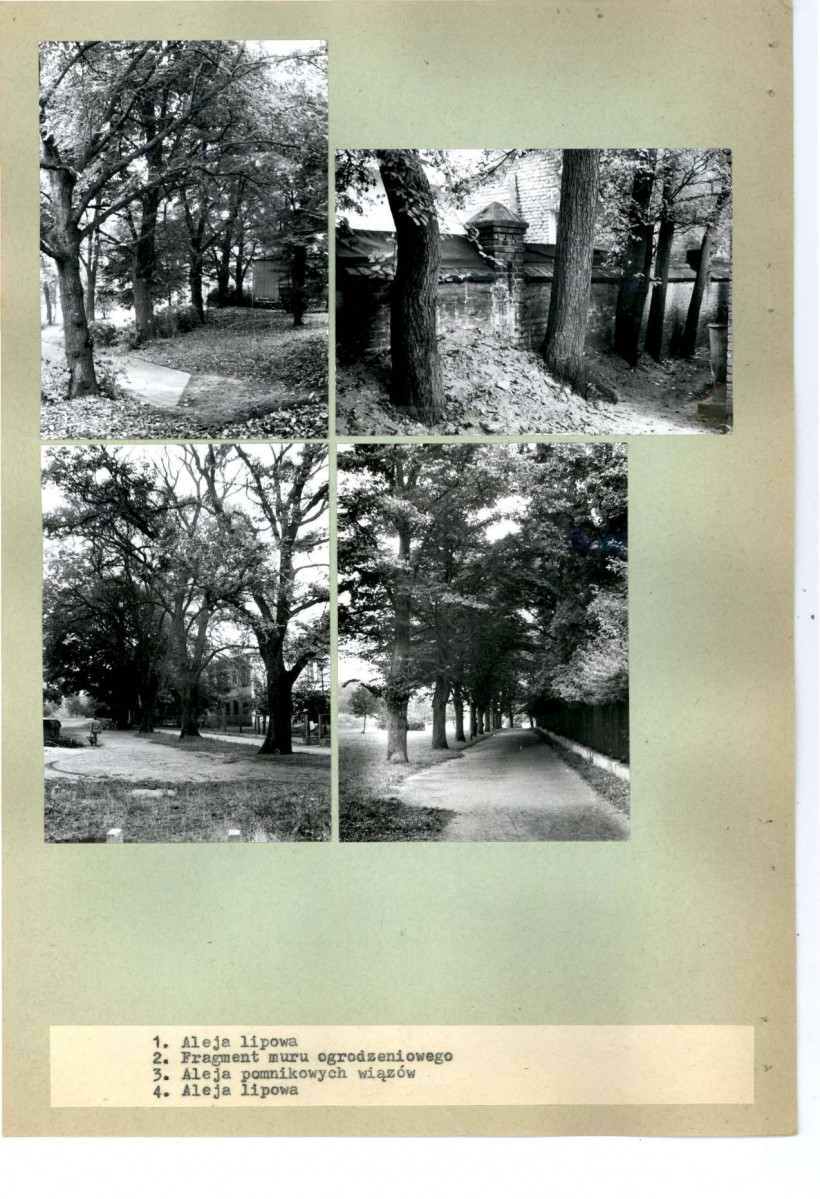 KC - Karta cmentarza, skan nr 5