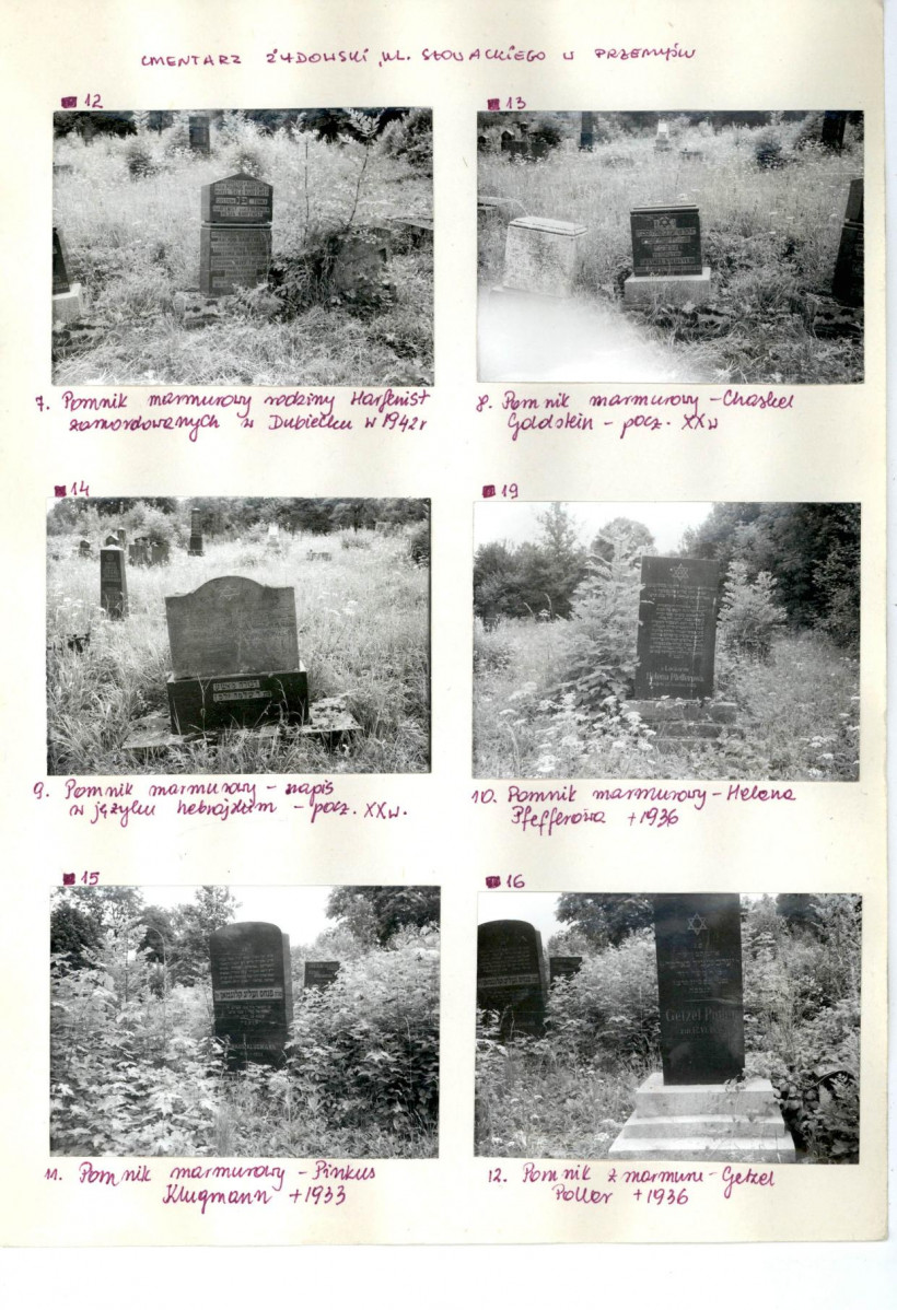 Karta cmentarza, skan nr 9