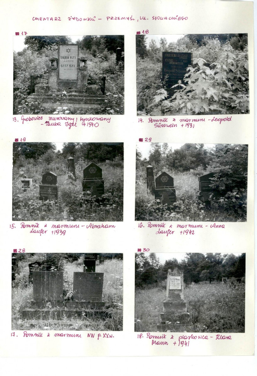 Karta cmentarza, skan nr 10