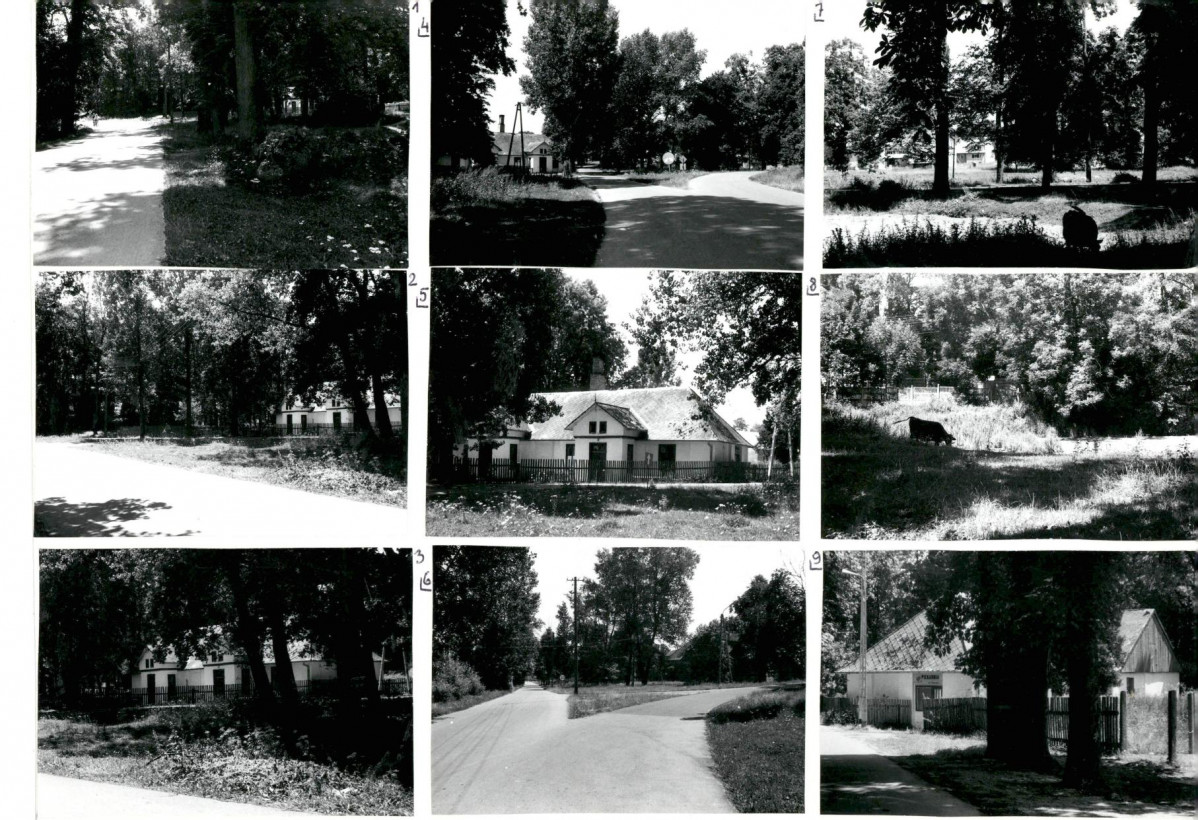 Karta biała, skan nr 6