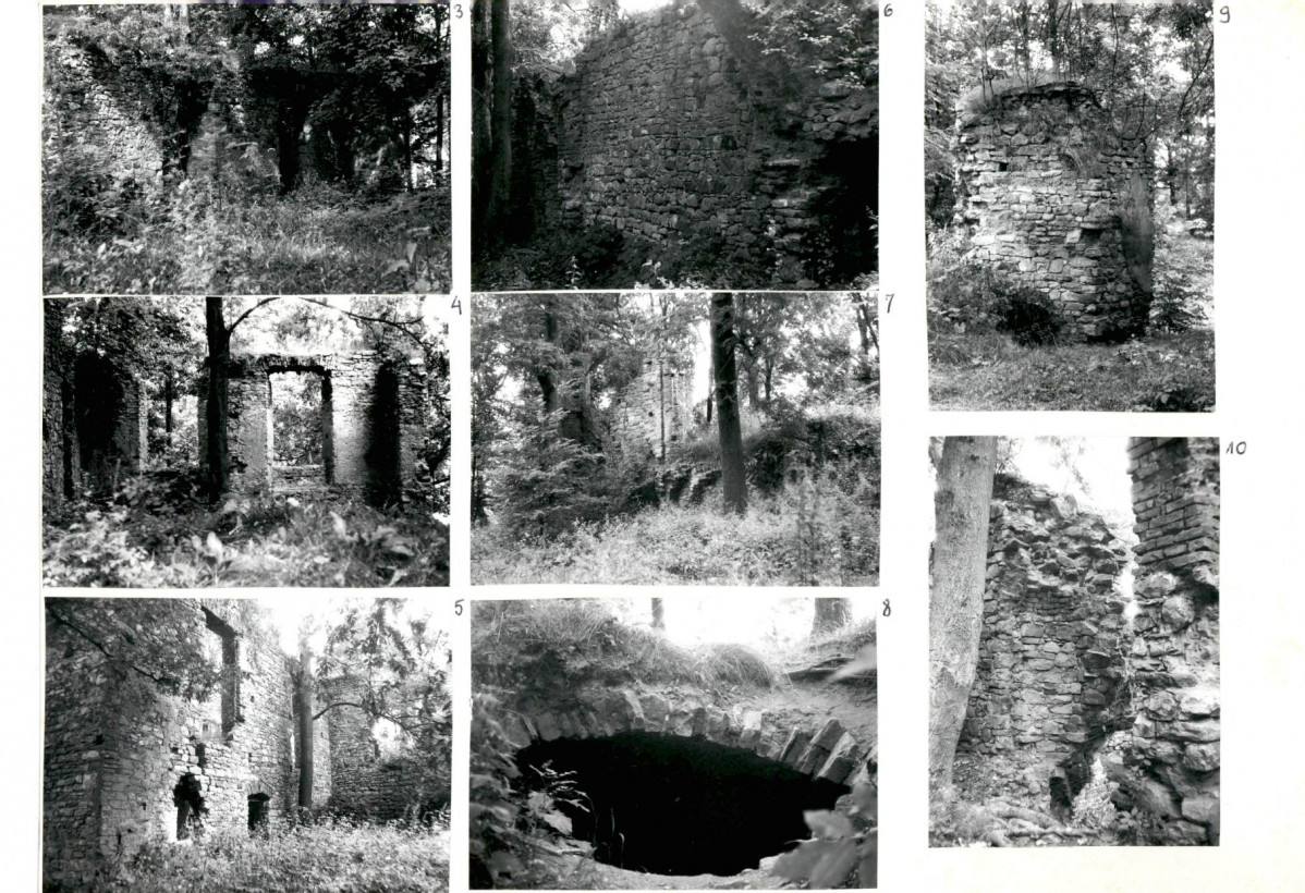 Karta biała, skan nr 6