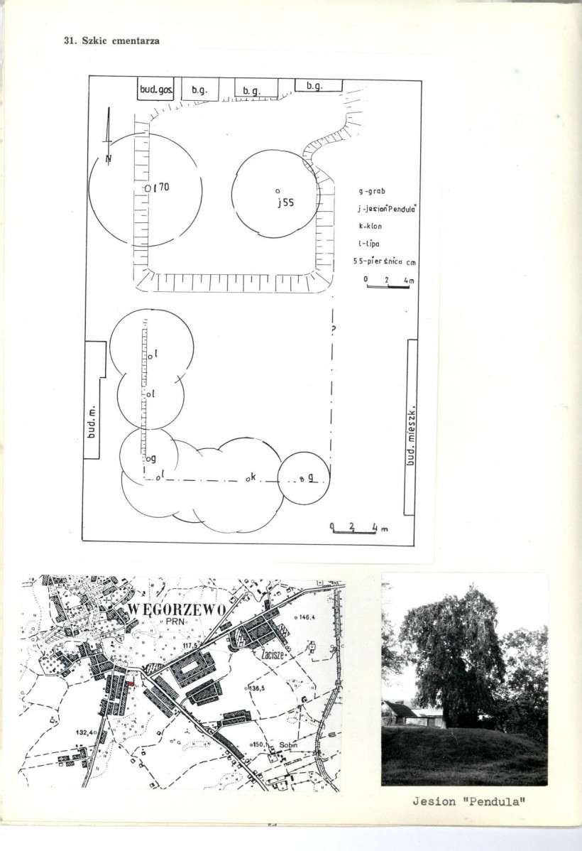 Karta cmentarza, skan nr 3