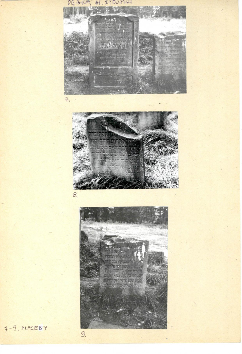 Karta cmentarza, skan nr 6