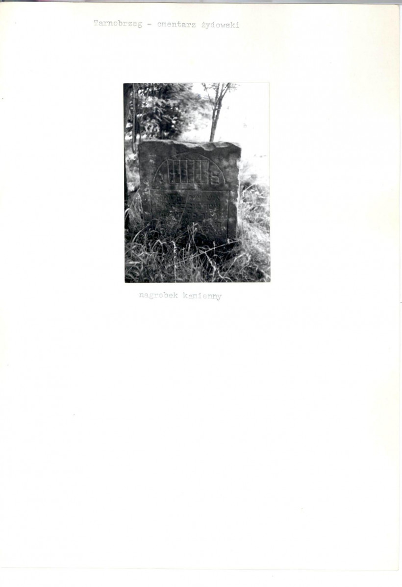 Karta cmentarza, skan nr 6