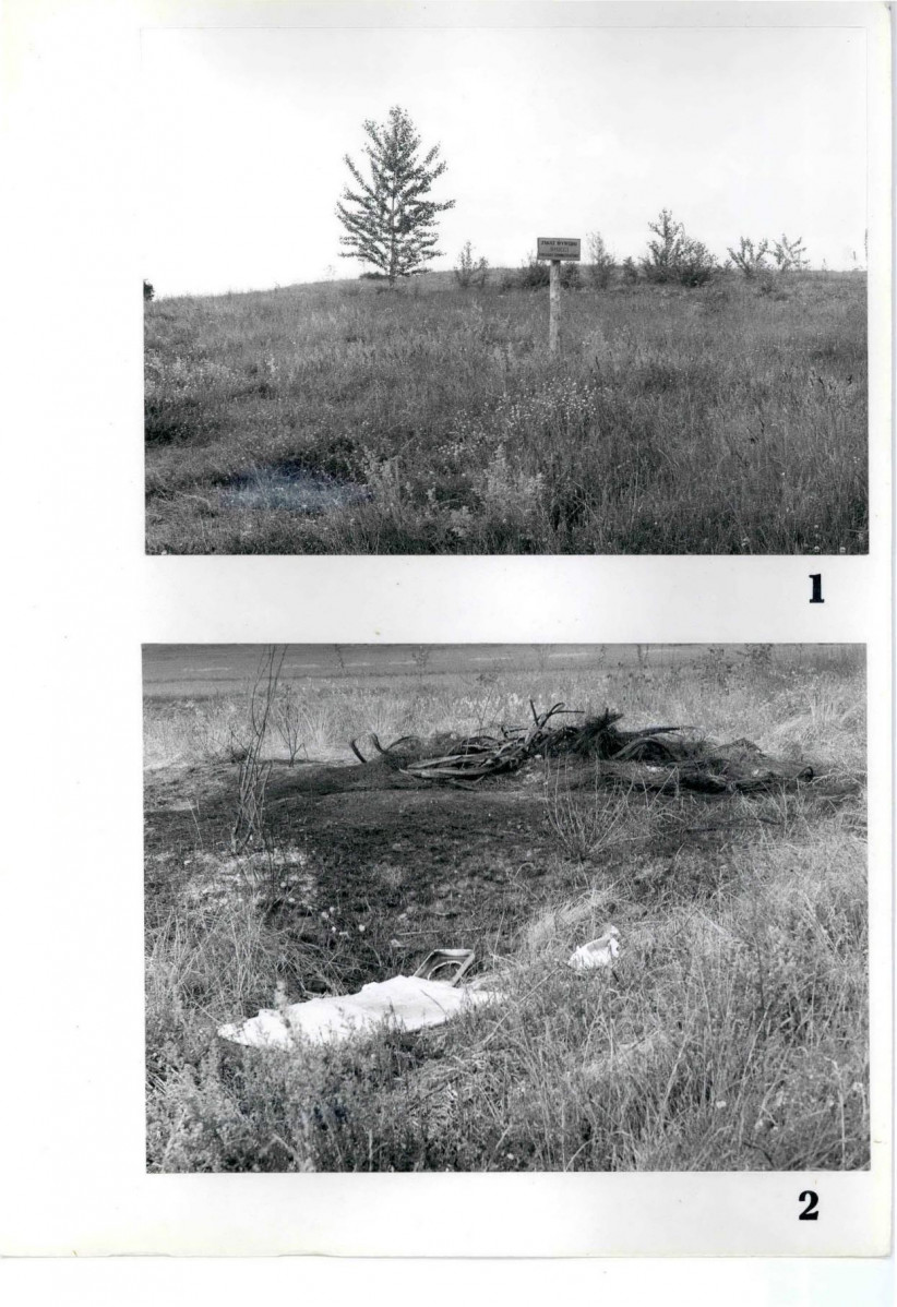Karta cmentarza, skan nr 5