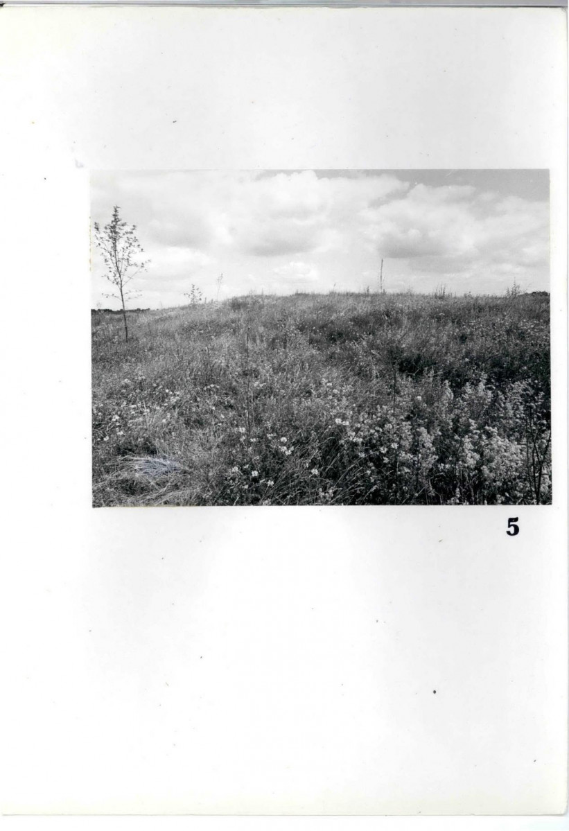 Karta cmentarza, skan nr 7