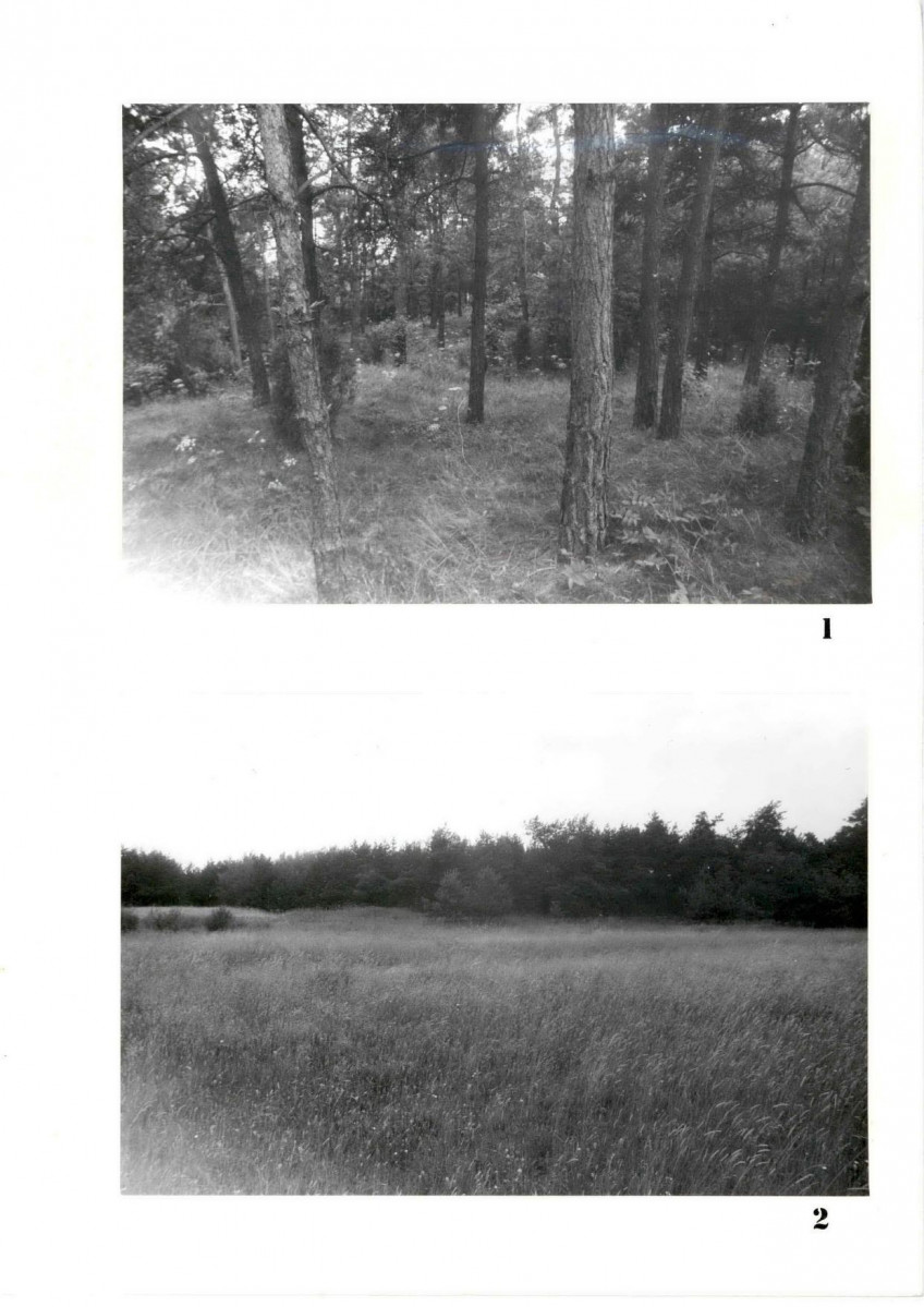Karta cmentarza, skan nr 5
