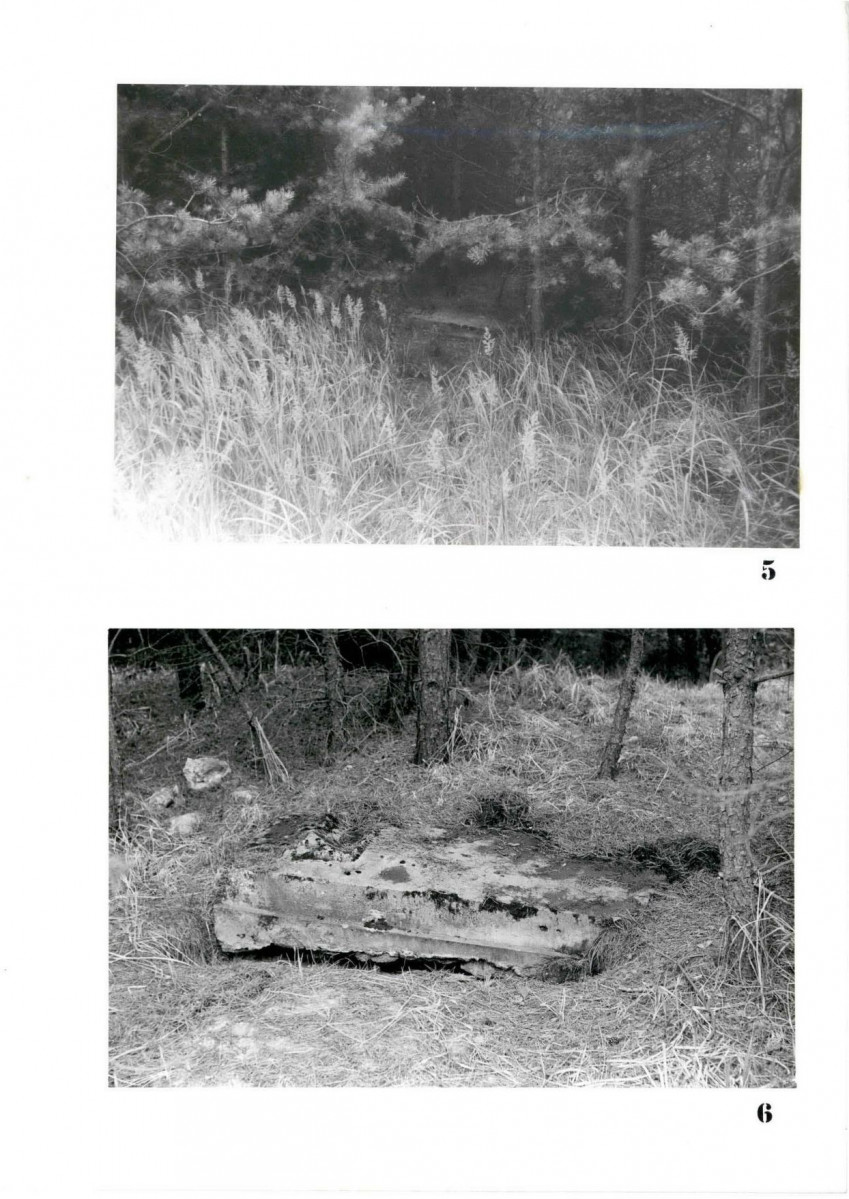 Karta cmentarza, skan nr 7