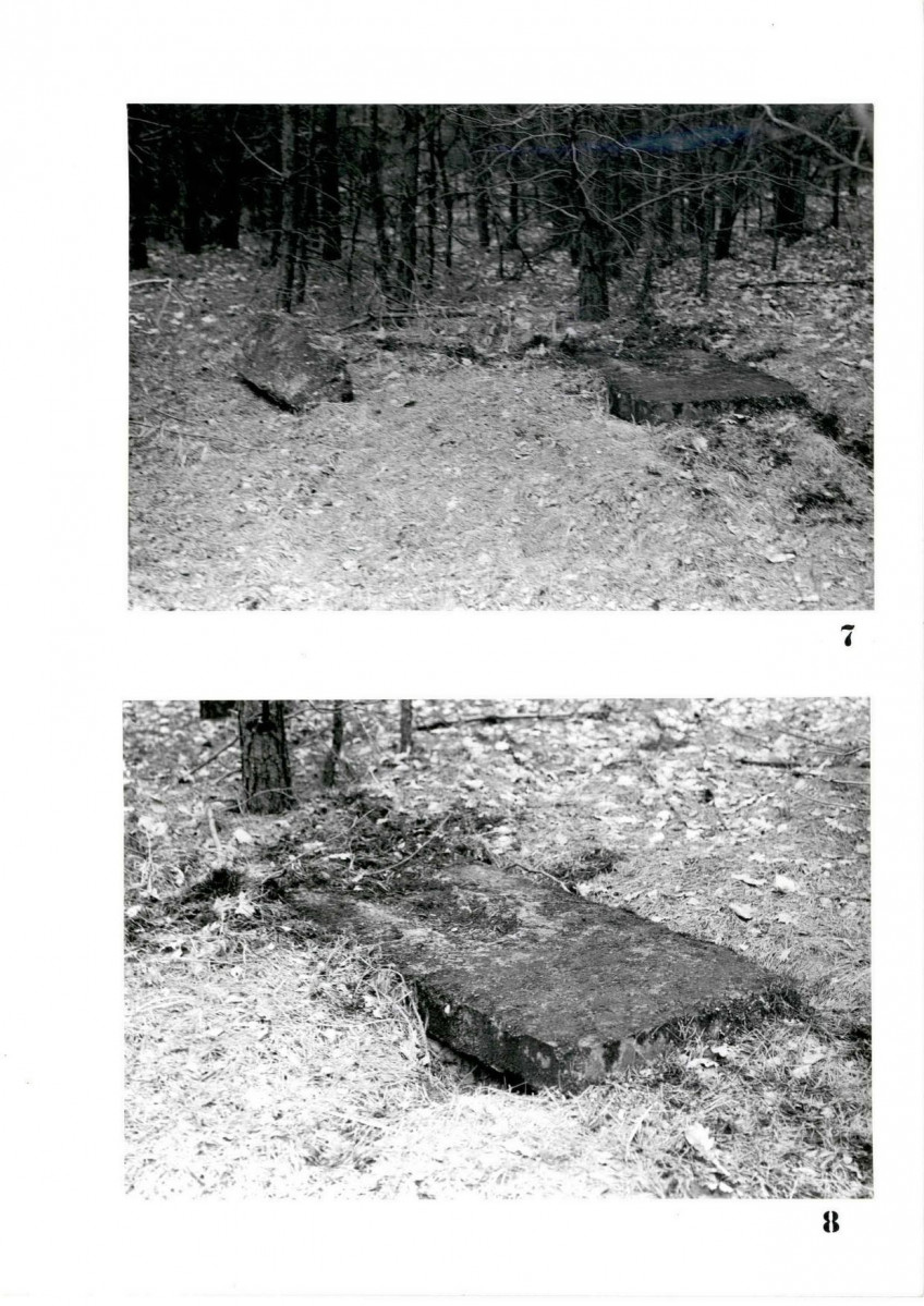 Karta cmentarza, skan nr 8