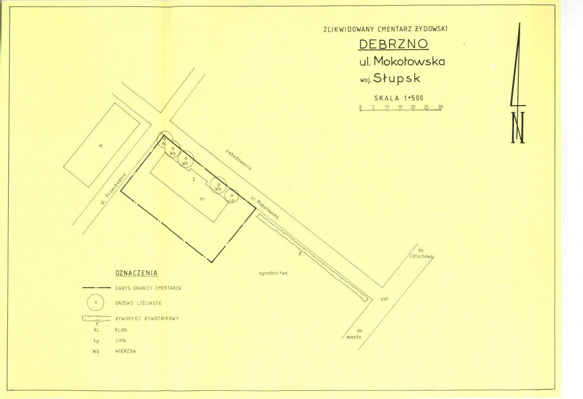 Karta cmentarza, skan nr 4