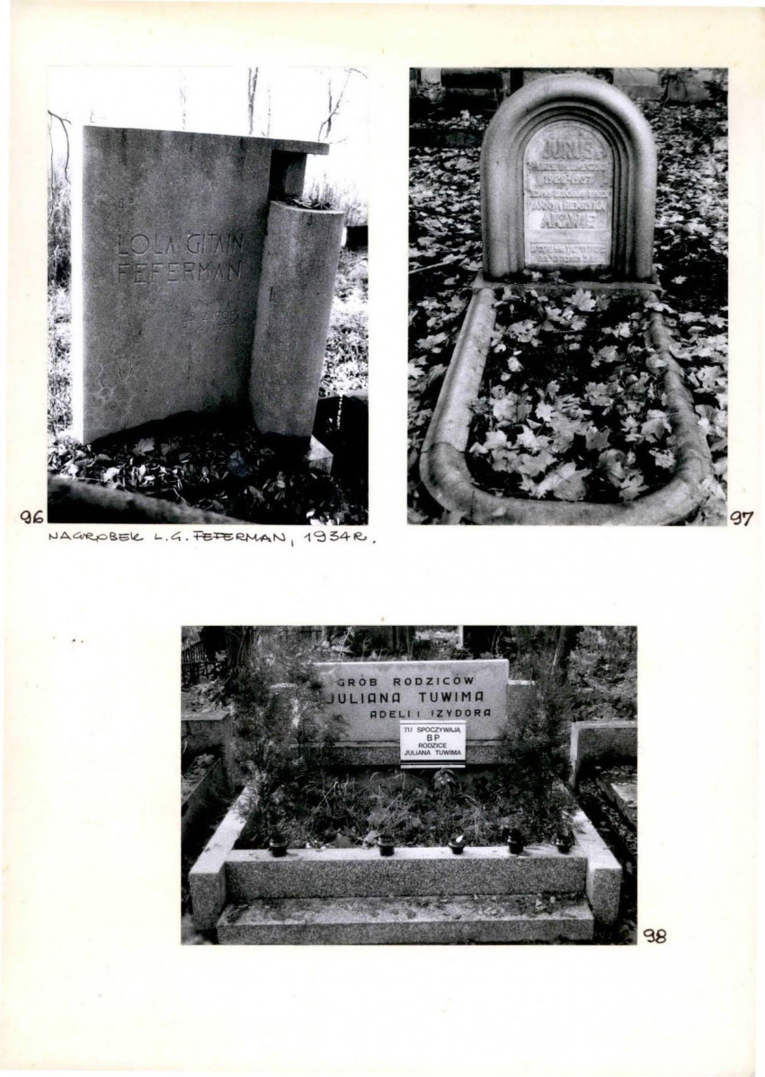 Karta cmentarza, skan nr 36