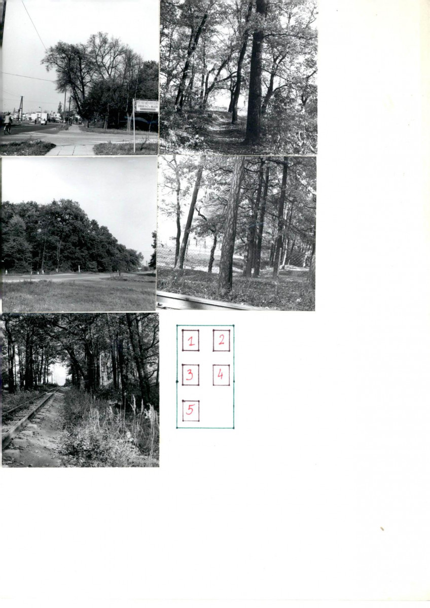 KC - Karta cmentarza, skan nr 6