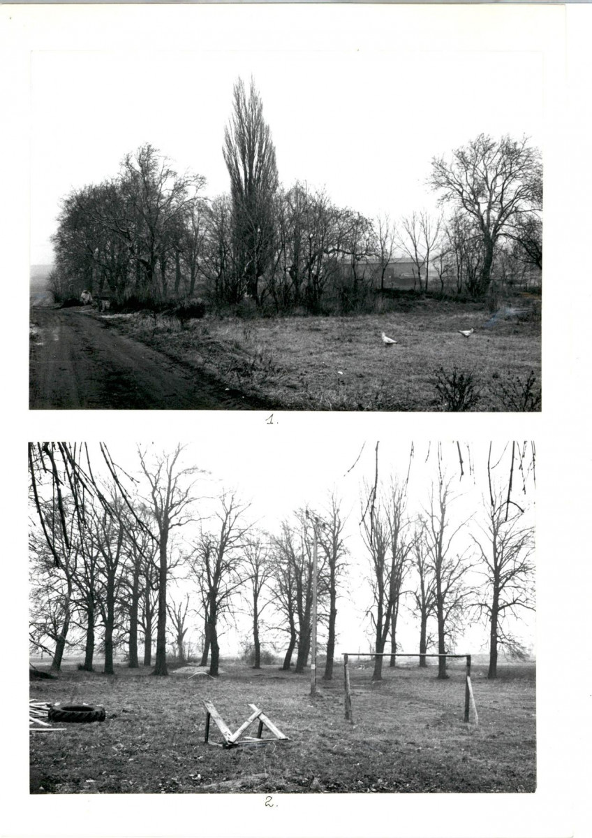 Karta cmentarza, skan nr 5