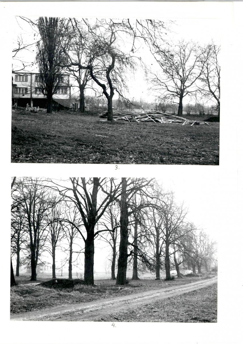 Karta cmentarza, skan nr 6