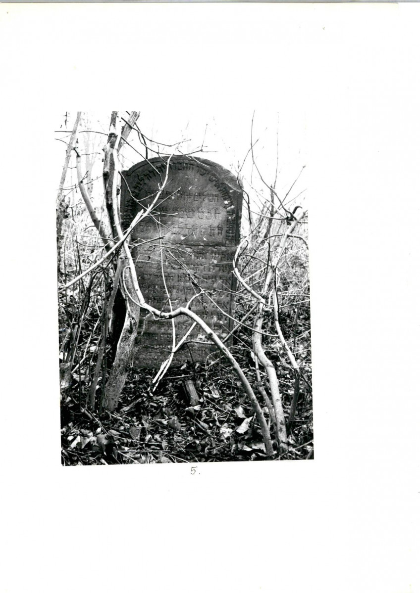 Karta cmentarza, skan nr 7