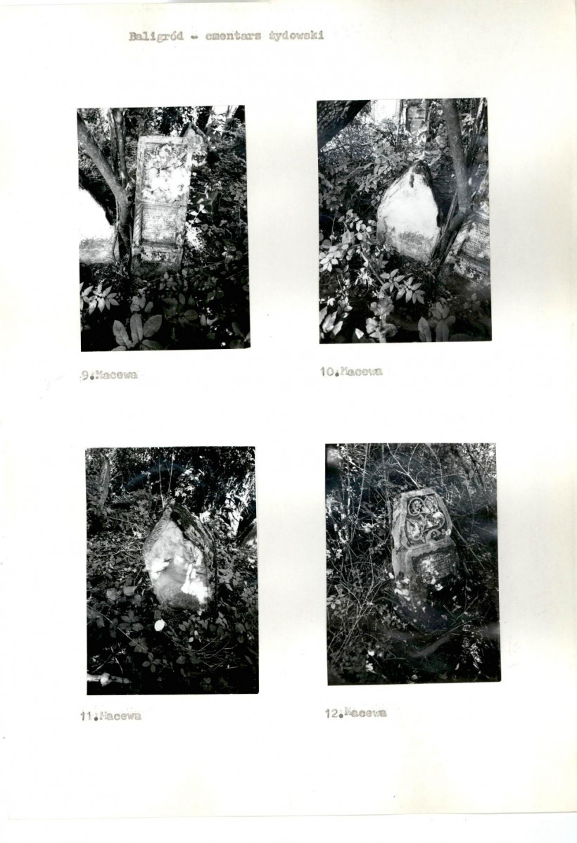 Karta cmentarza, skan nr 6