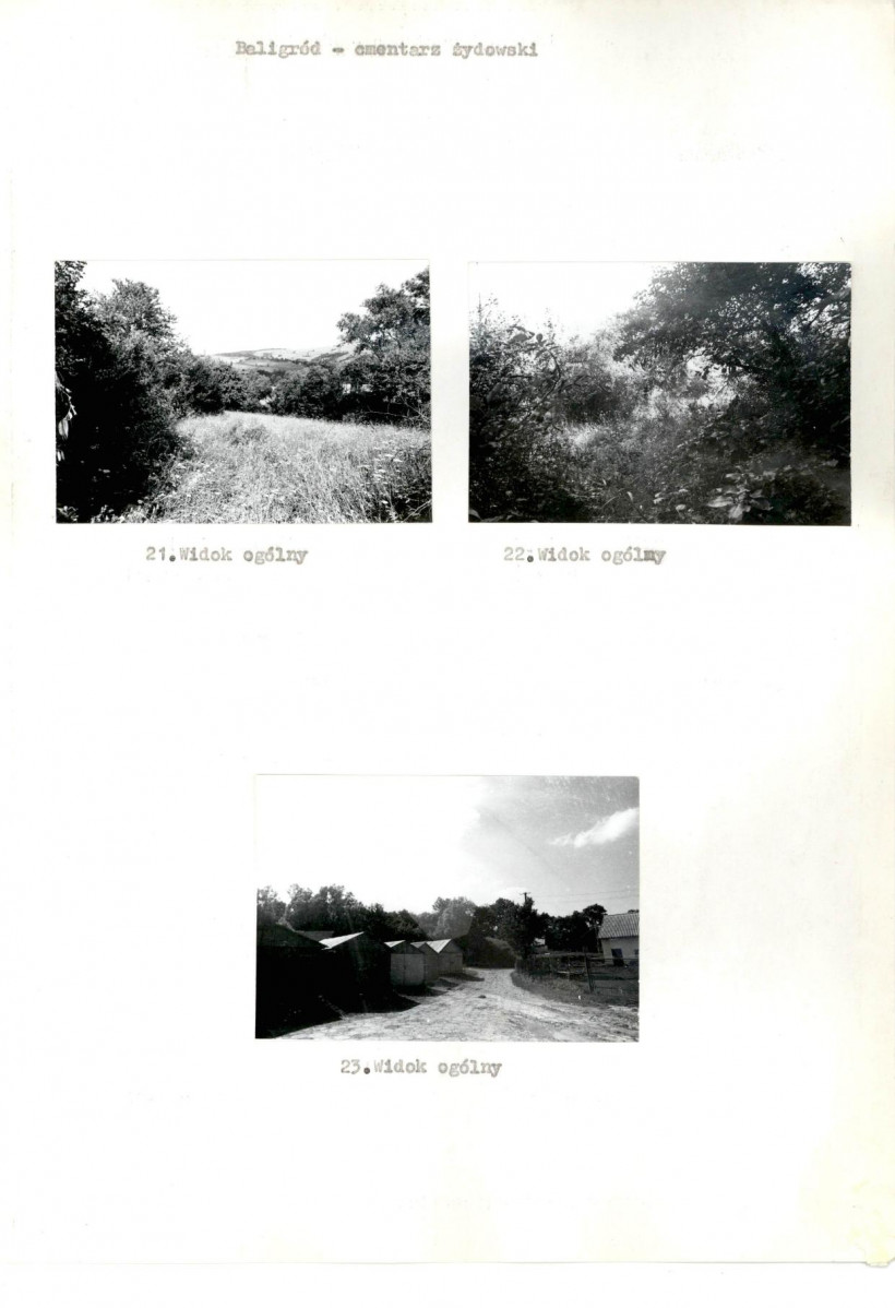 Karta cmentarza, skan nr 9