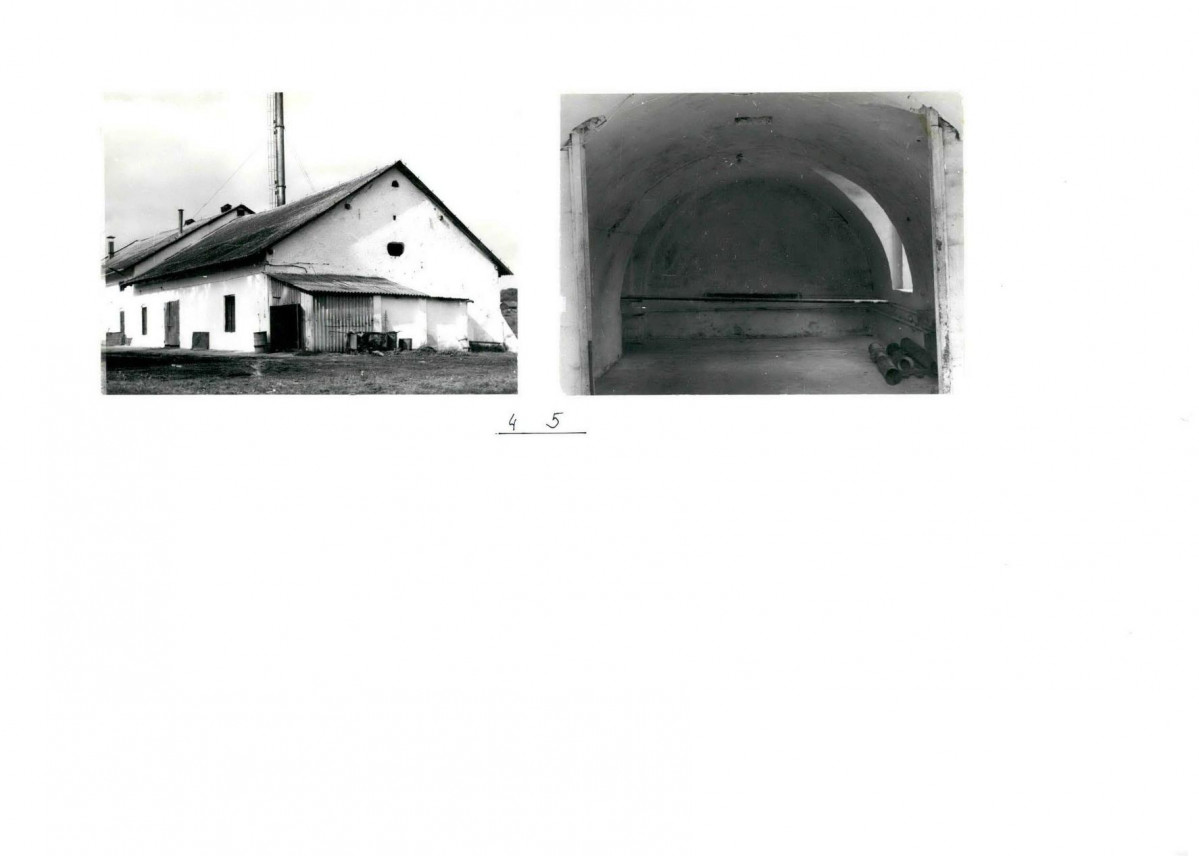 Karta biała, skan nr 16