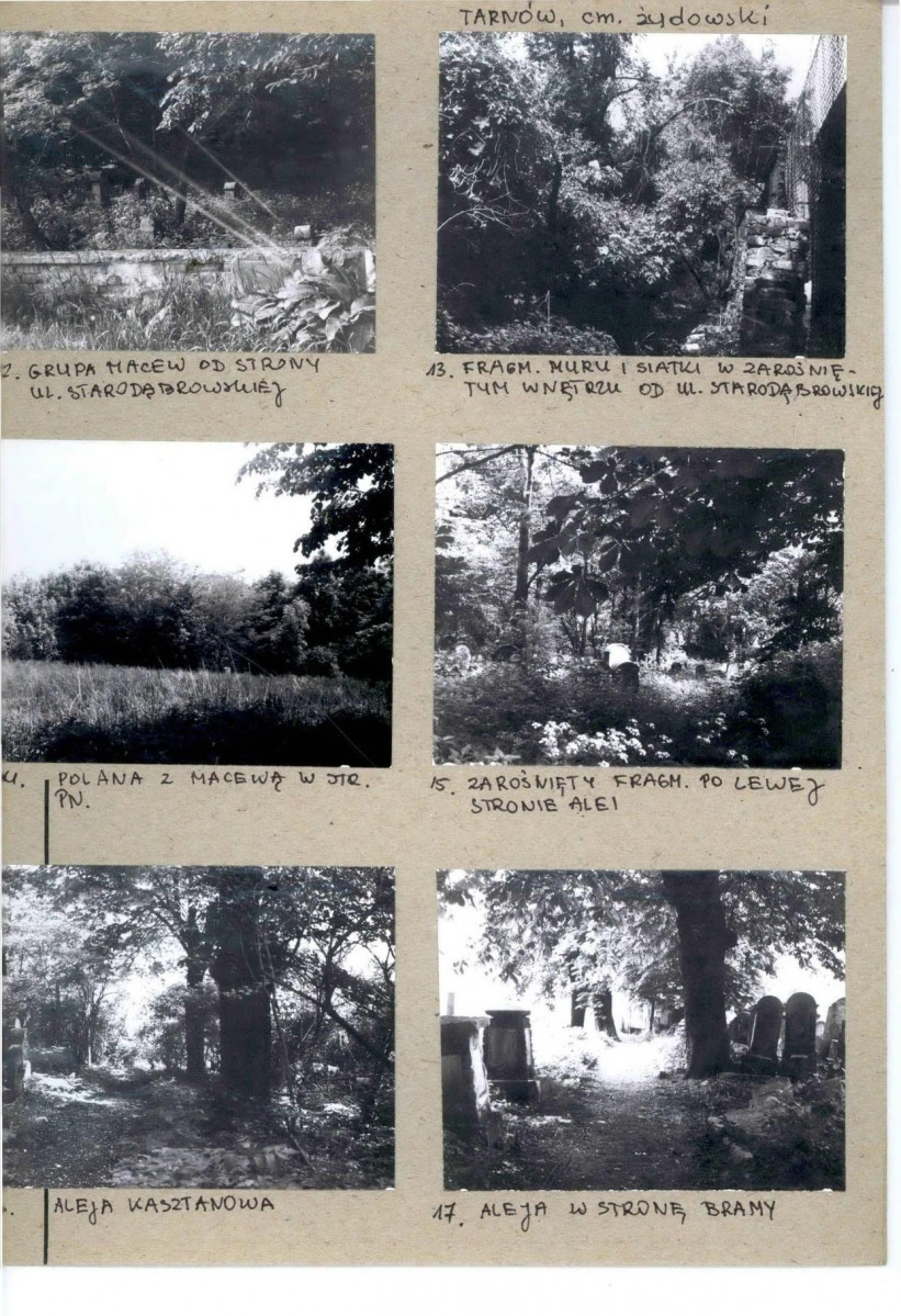 Karta cmentarza, skan nr 6