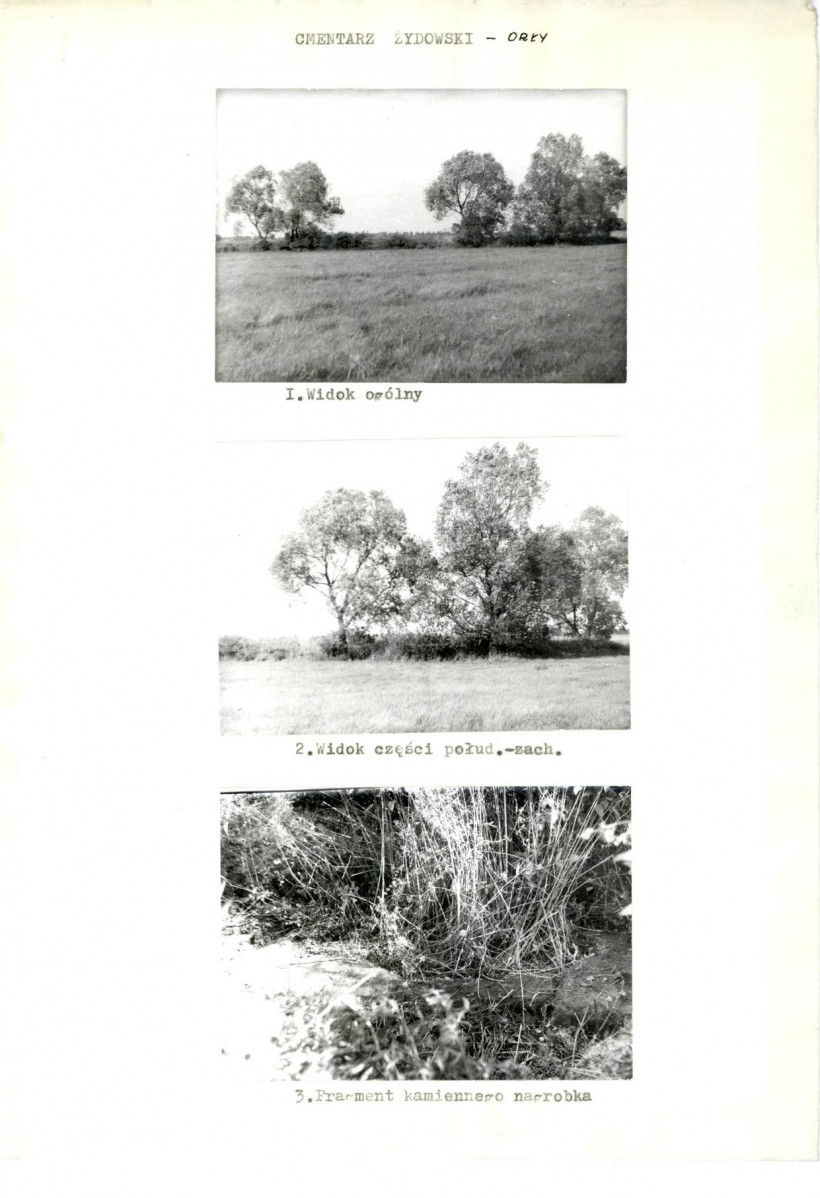 Karta cmentarza, skan nr 5