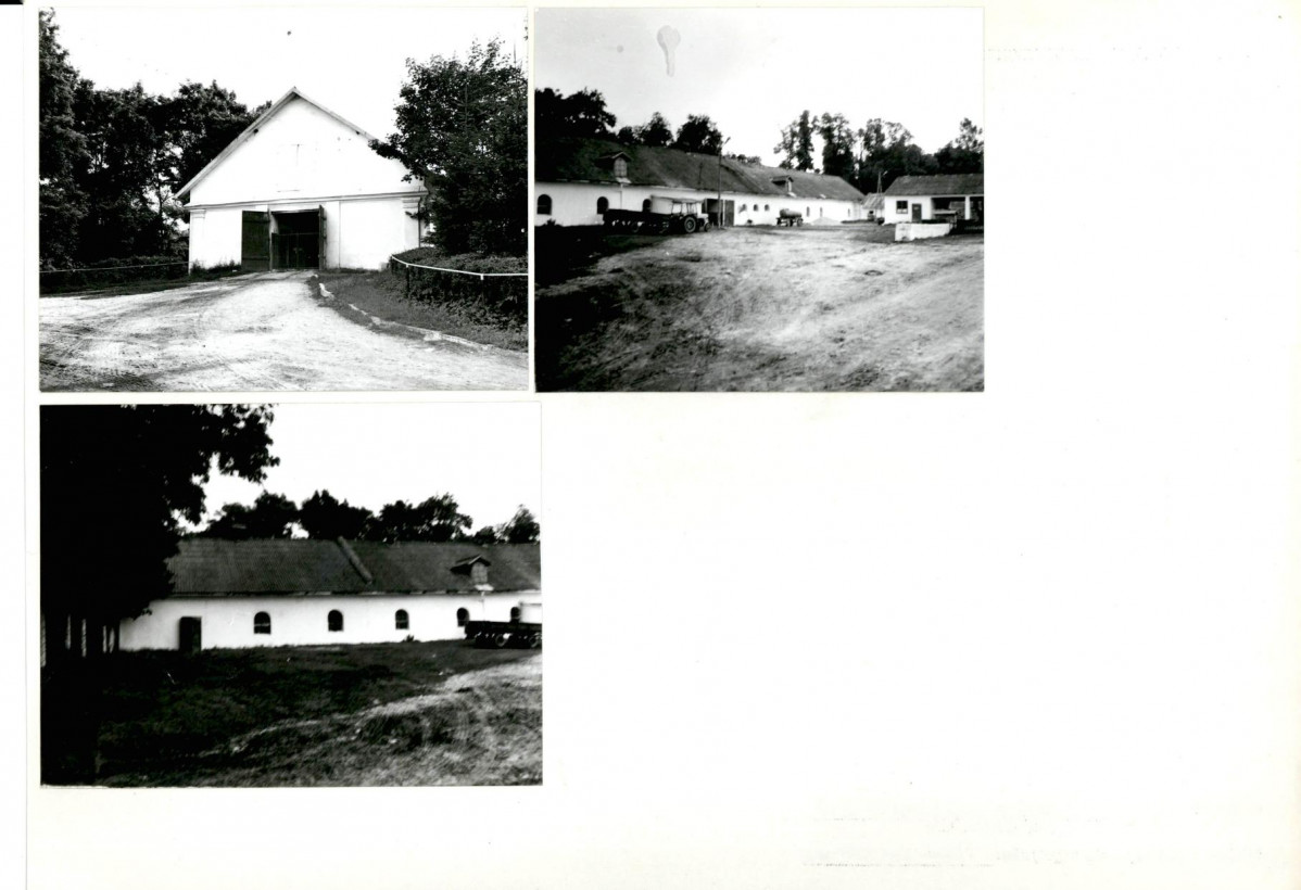Karta biała, skan nr 6