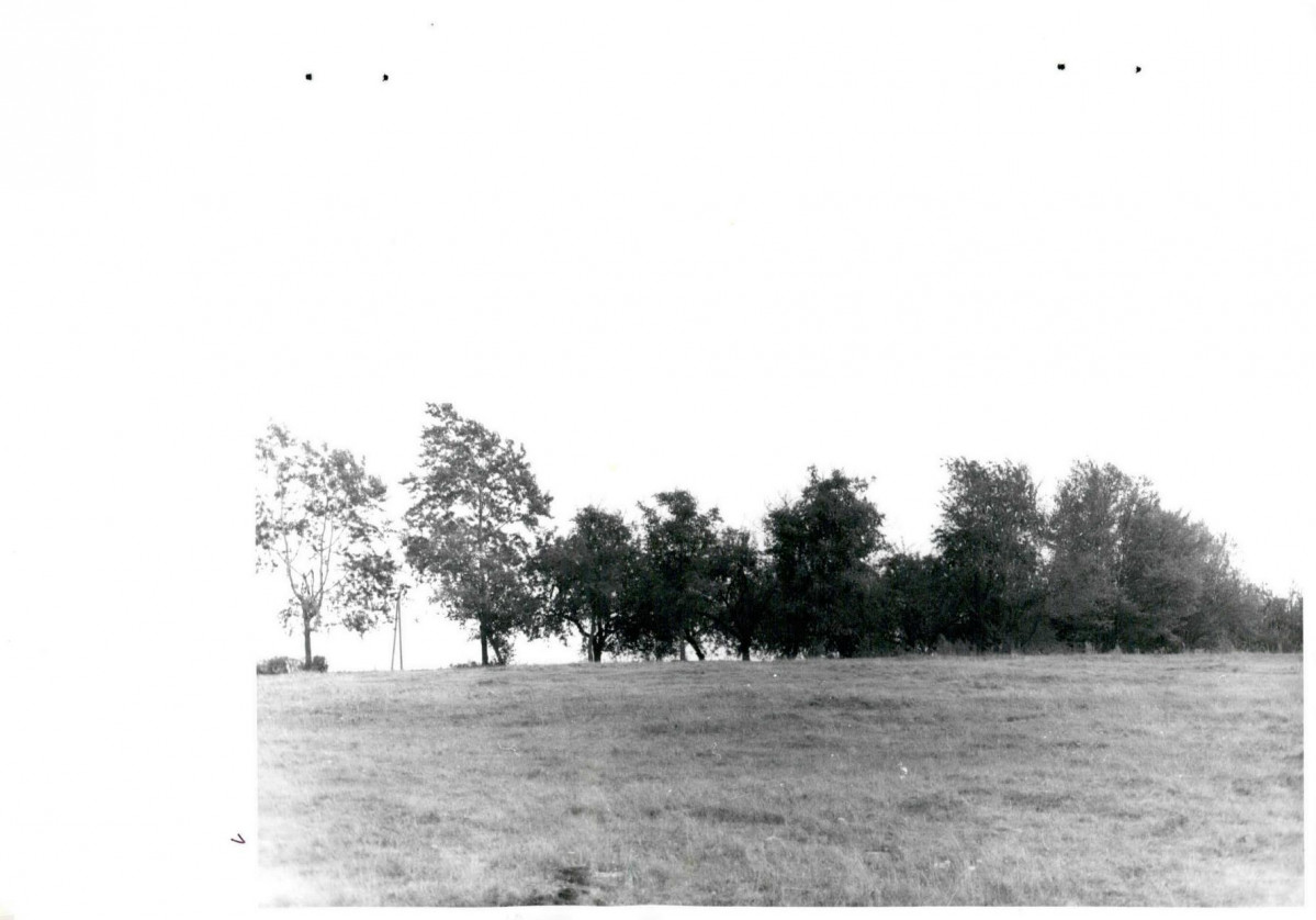 Karta cmentarza, skan nr 8