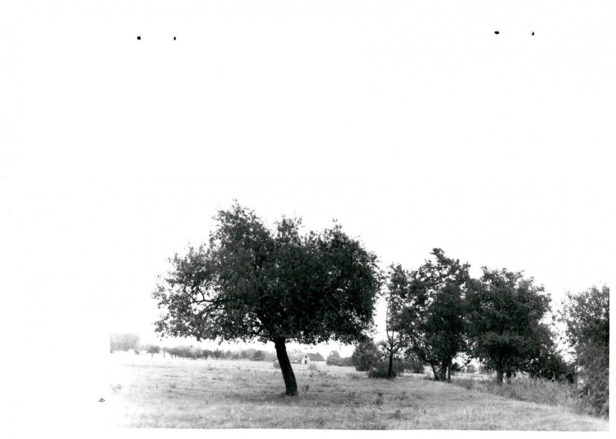 Karta cmentarza, skan nr 11