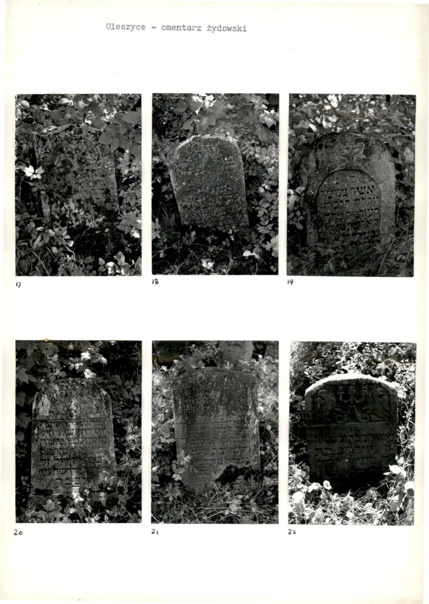 Karta cmentarza, skan nr 8