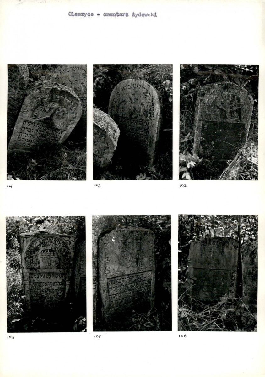 Karta cmentarza, skan nr 22