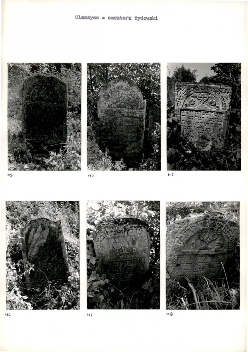 Karta cmentarza, skan nr 24