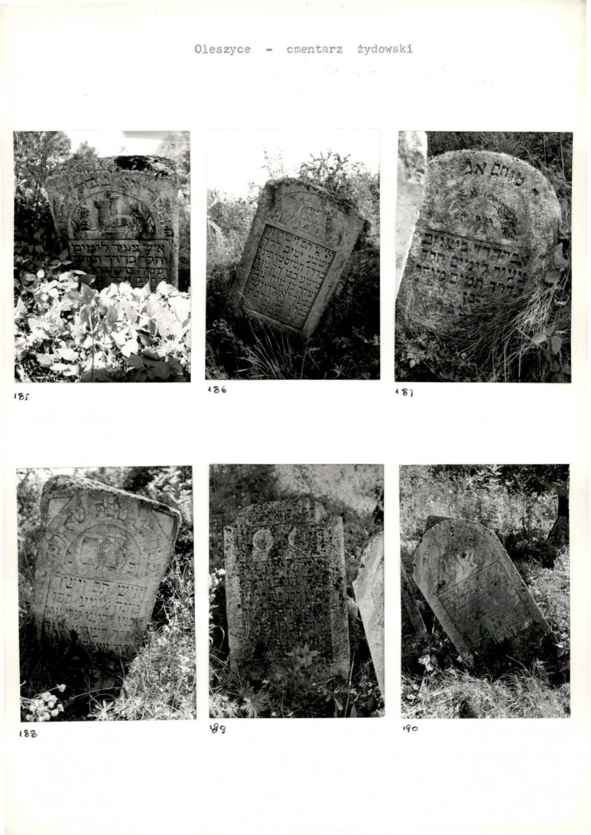 Karta cmentarza, skan nr 36