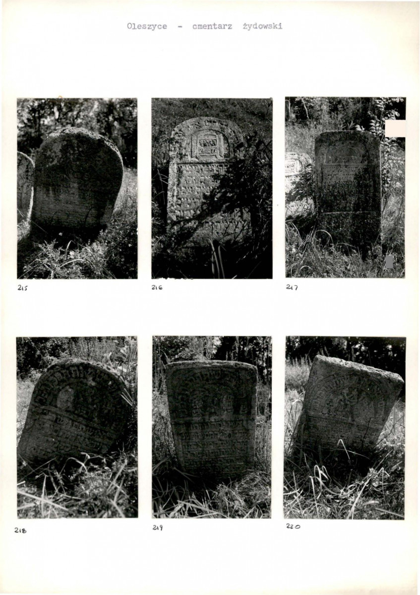 Karta cmentarza, skan nr 41