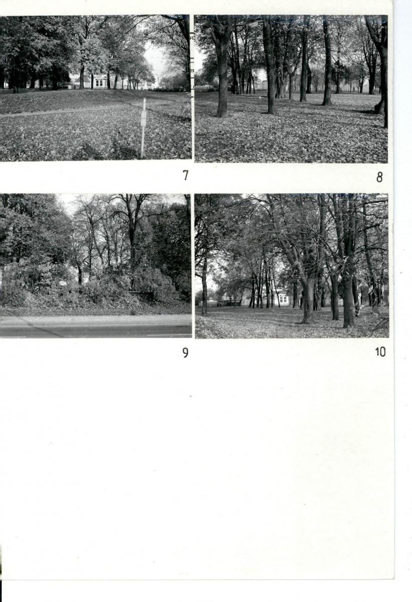 Karta cmentarza, skan nr 5