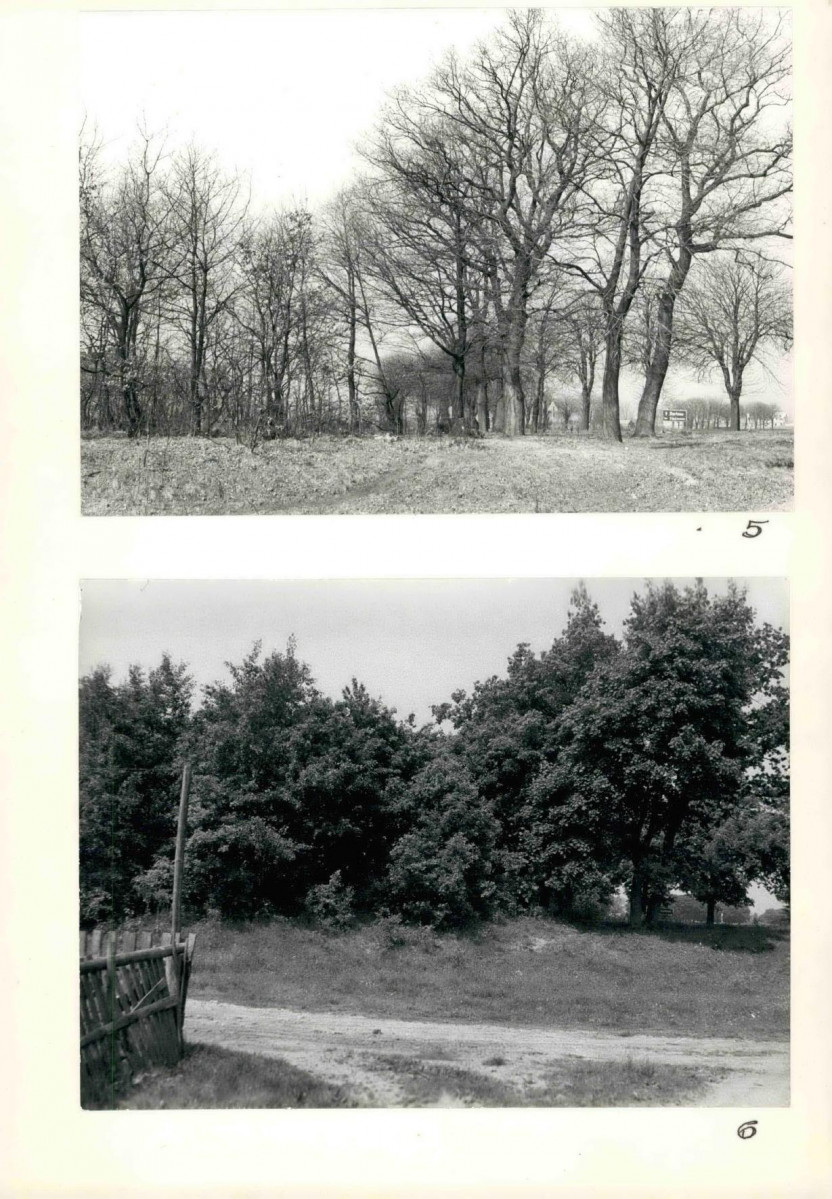 KC - Karta cmentarza, skan nr 8