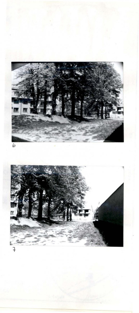Karta cmentarza, skan nr 5