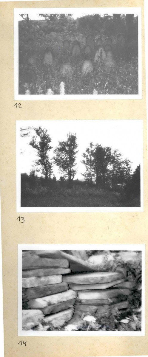 Karta cmentarza, skan nr 9