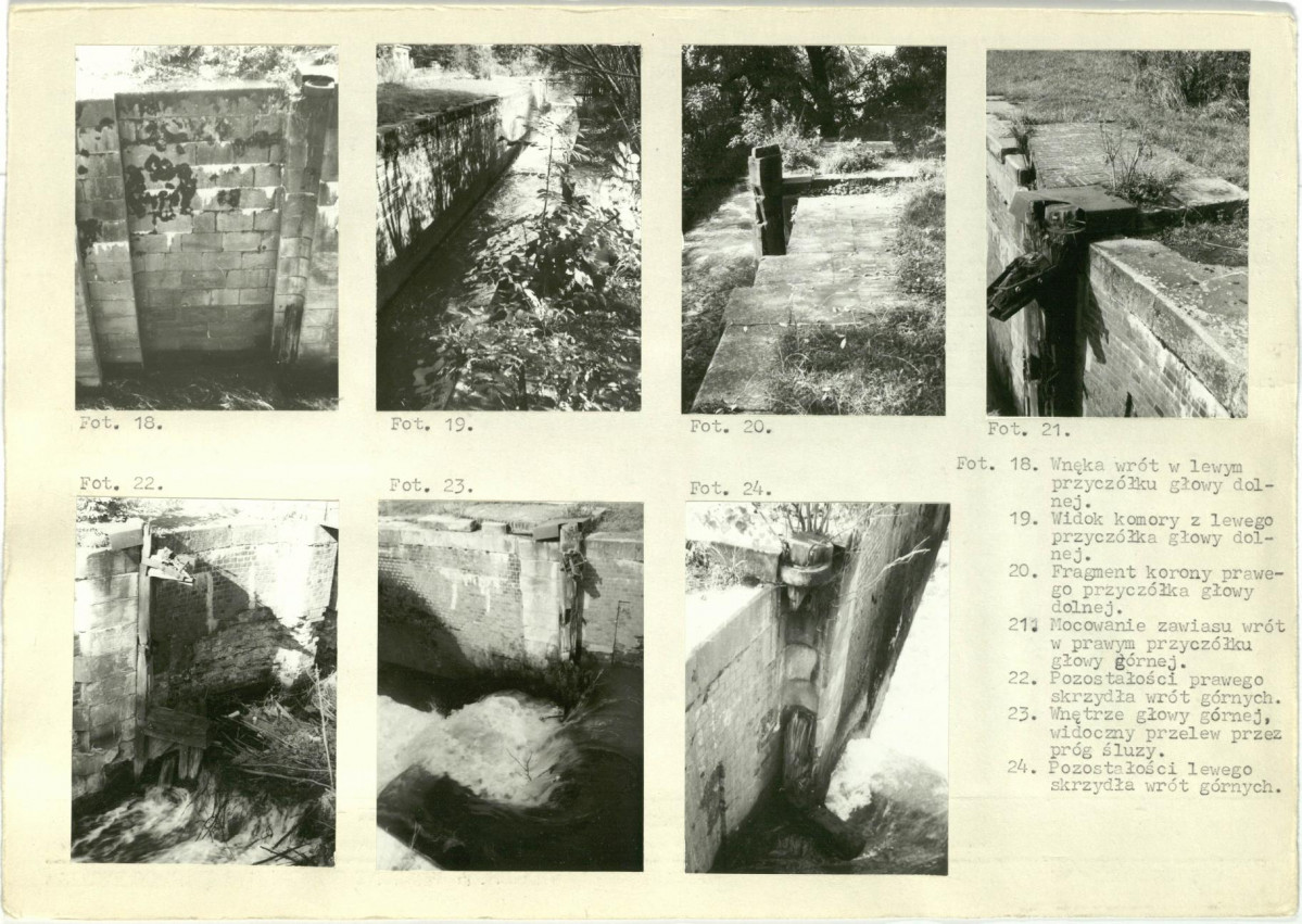 Karta biała, skan nr 8