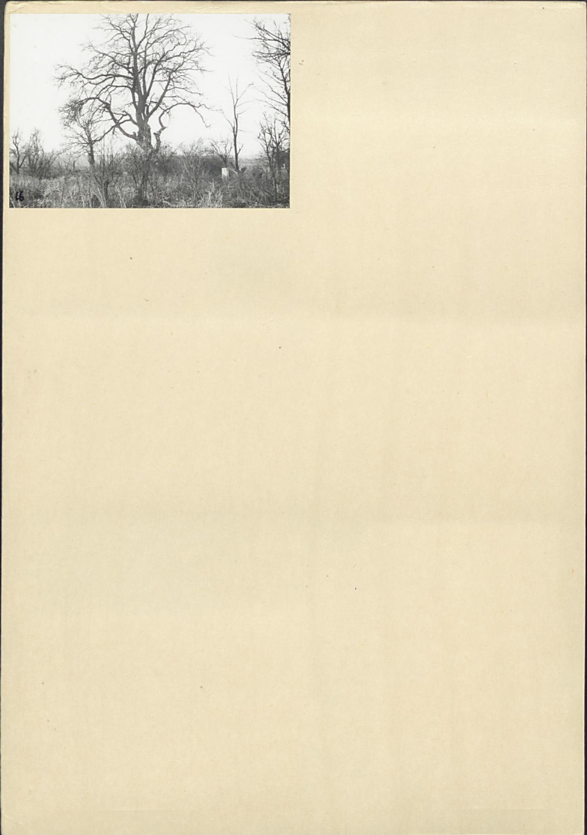 Karta cmentarza, skan nr 6