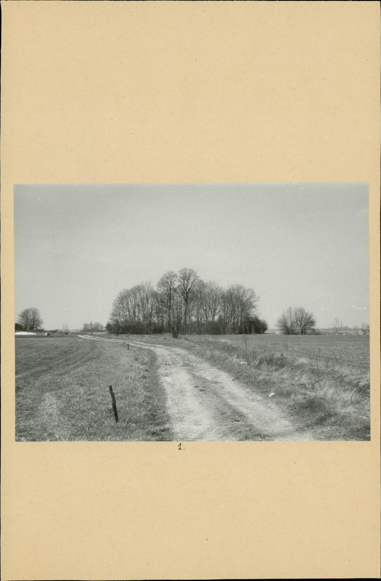 Karta cmentarza, skan nr 5