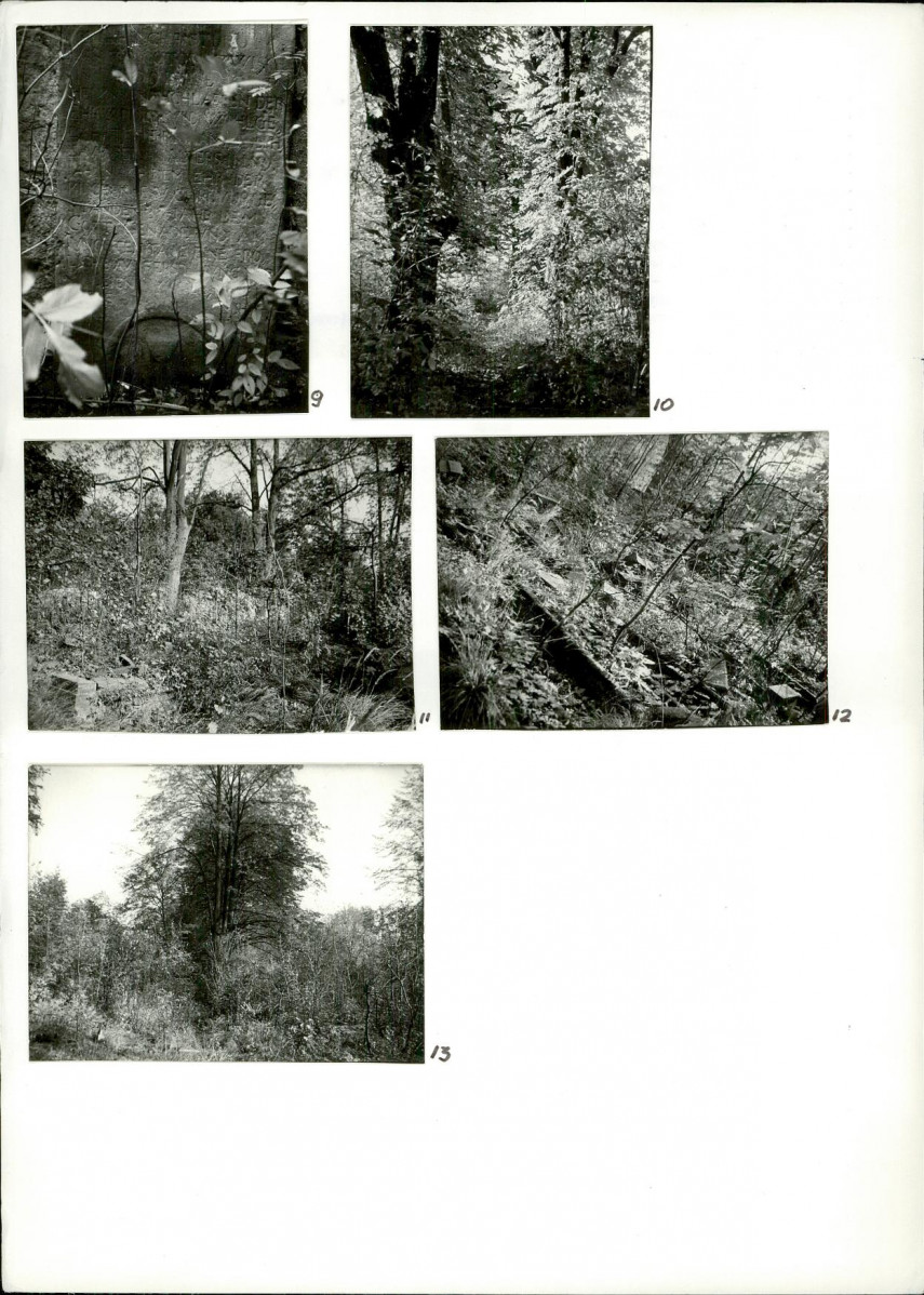 Karta cmentarza, skan nr 6
