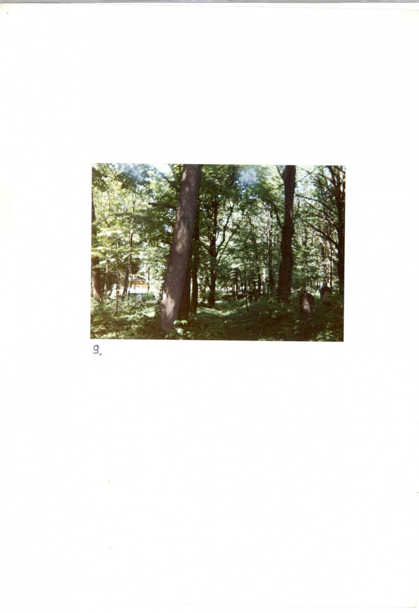 Karta cmentarza, skan nr 8