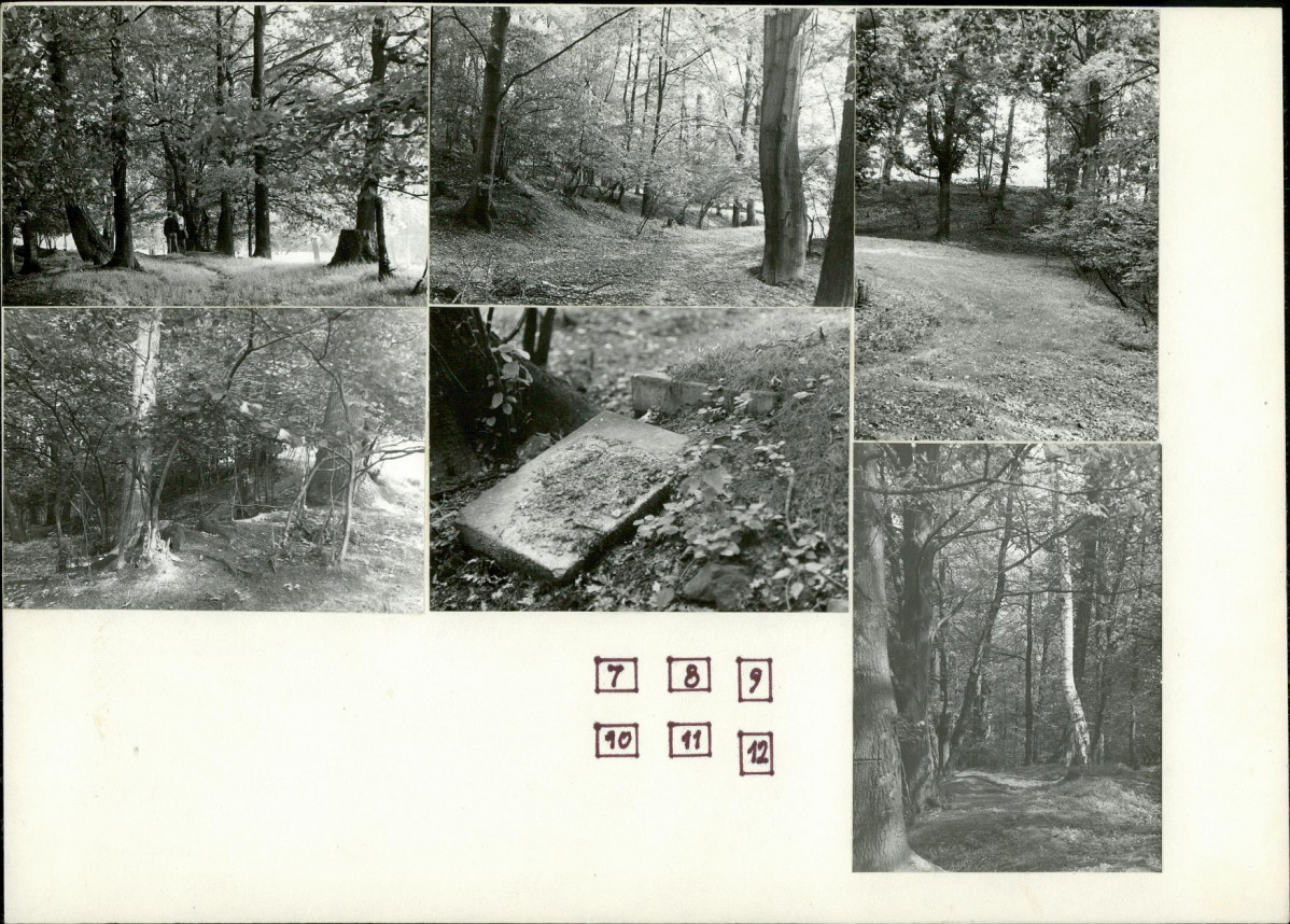Karta cmentarza, skan nr 8