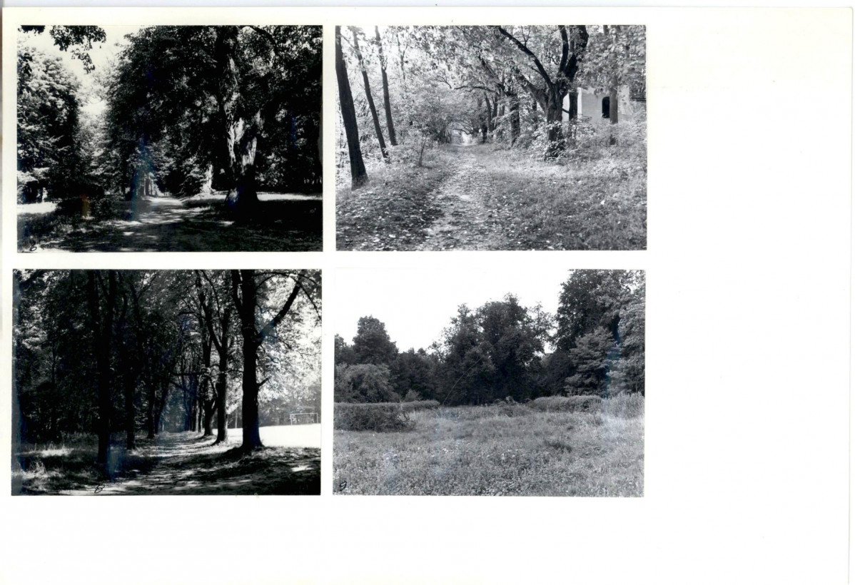 Karta biała, skan nr 6