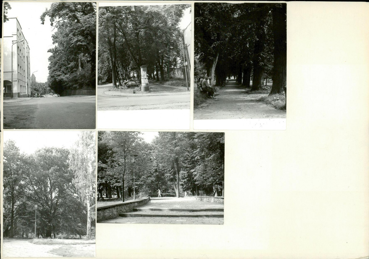 Karta cmentarza, skan nr 6