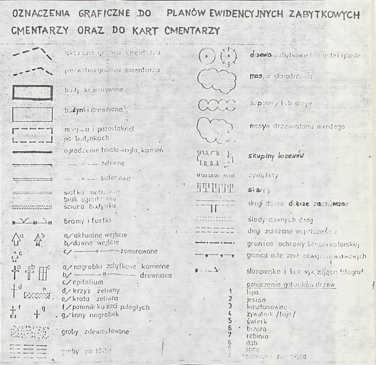 Karta cmentarza, skan nr 4