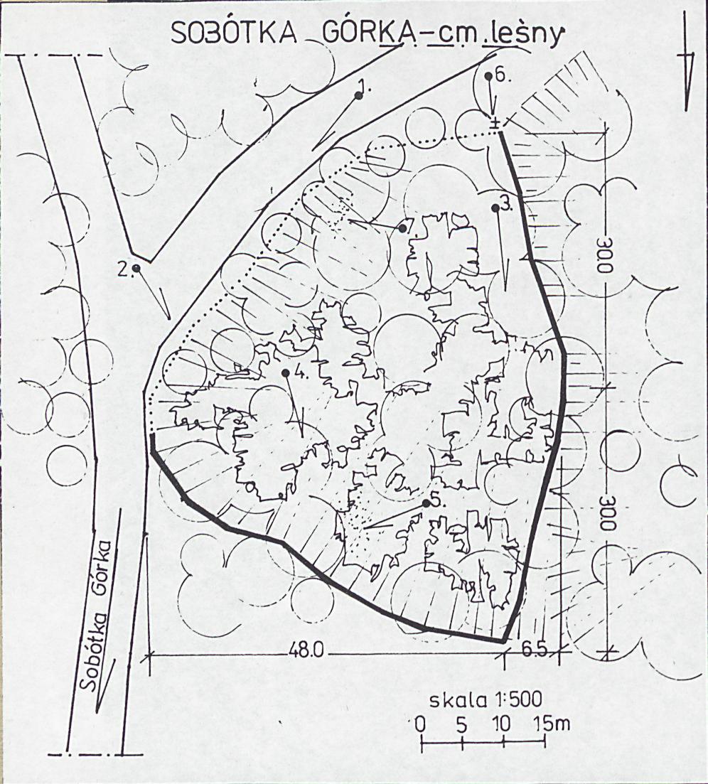 Karta cmentarza, skan nr 3