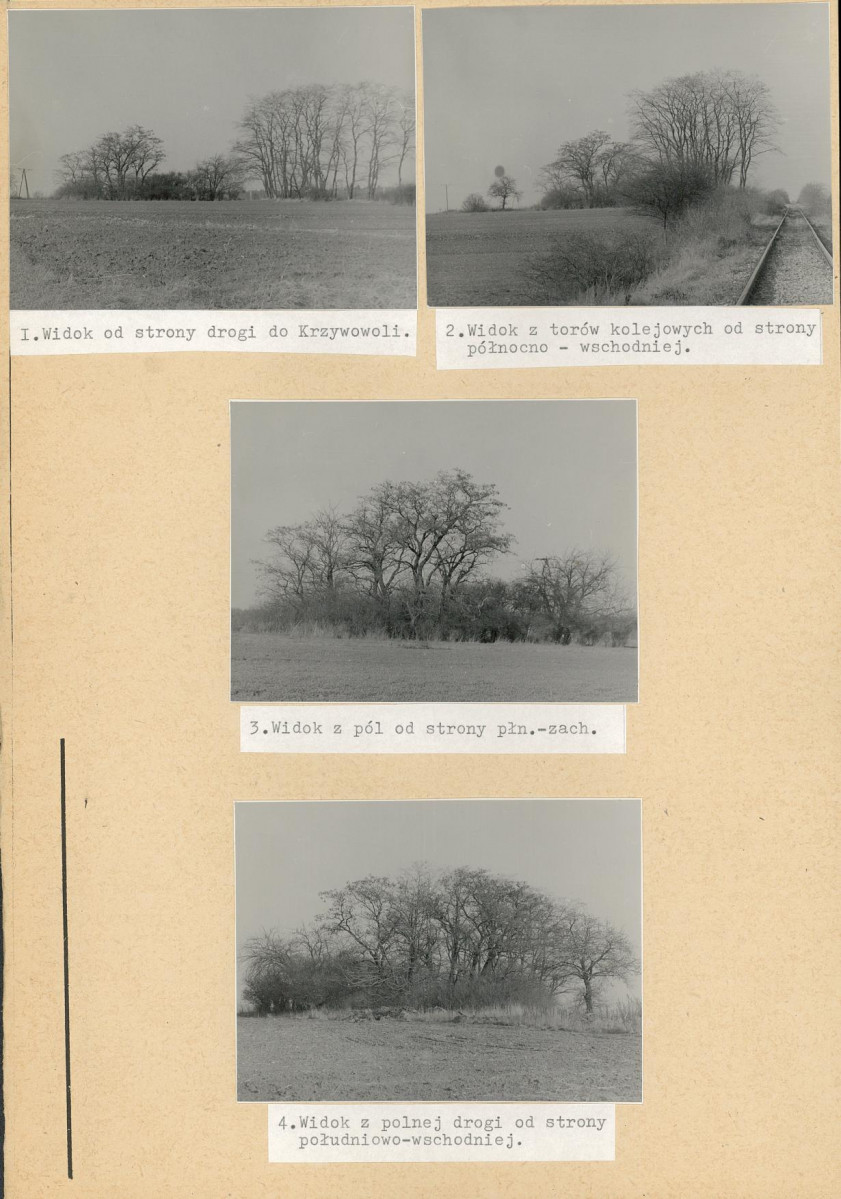 Karta cmentarza, skan nr 4