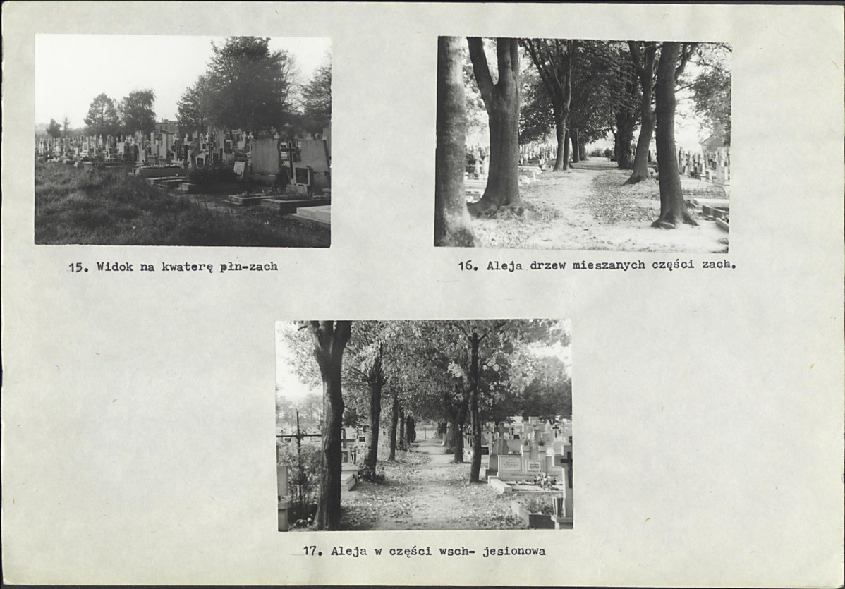 KC - Karta cmentarza, skan nr 7